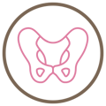 pelvic-icon