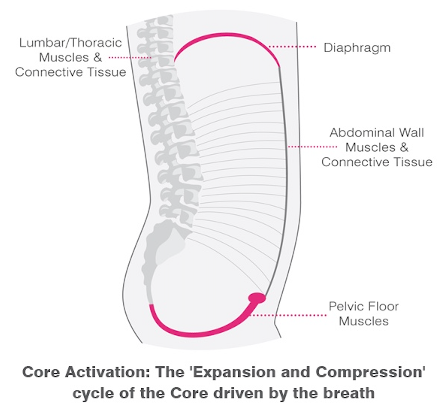 pelvic floor core activation